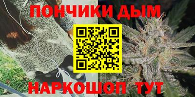индика Ирбит