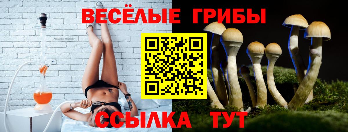 Псилоцибиновые грибы Magic Shrooms  Вход с VPN  Кстово  Псилоцибиновые грибы Cubensis 